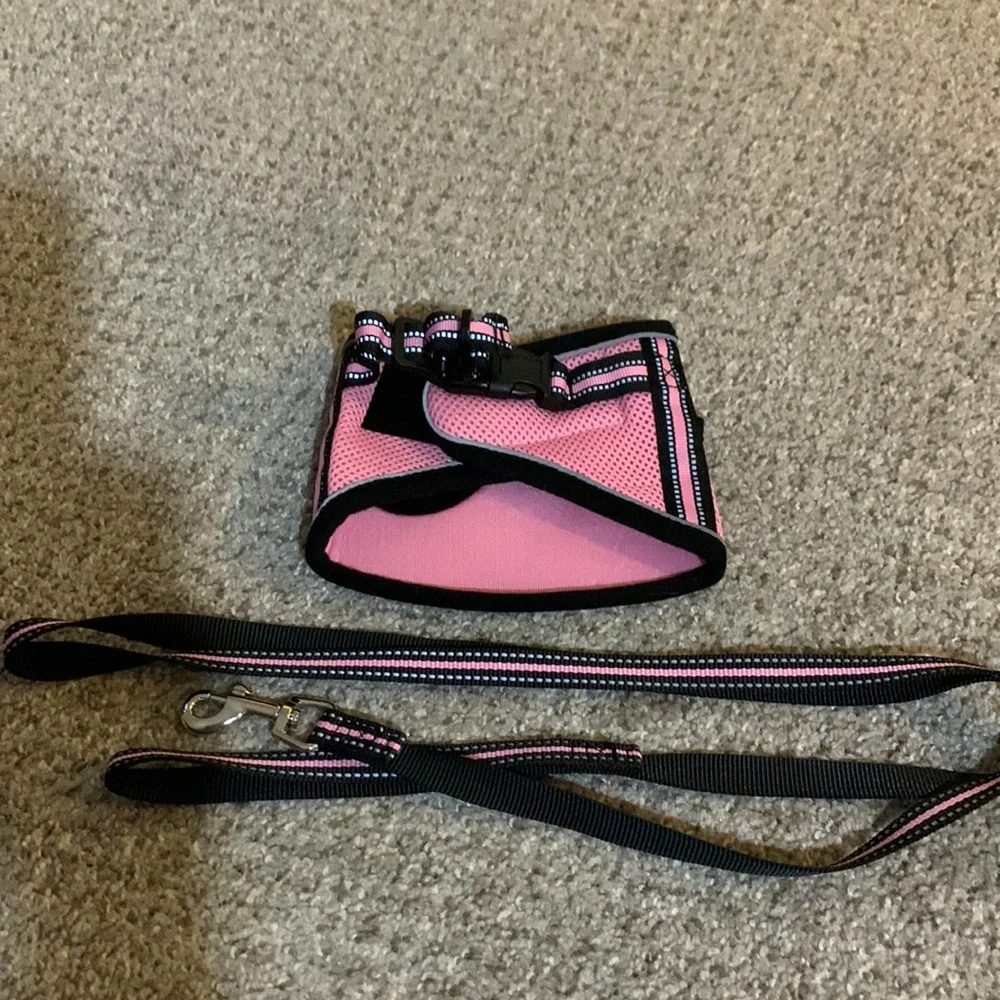 Arkham cat harness